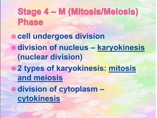  cell undergoes division
division of nucleus – karyokinesis
(nuclear division)
2 types of karyokinesis: mitosis
and meiosis
division of cytoplasm –
cytokinesis