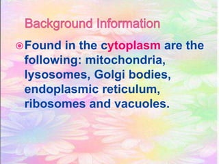 Found in the cytoplasm are the
following: mitochondria,
lysosomes, Golgi bodies,
endoplasmic reticulum,
ribosomes and vacuoles.