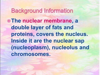 The nuclear membrane, a
double layer of fats and
proteins, covers the nucleus.
Inside it are the nuclear sap
(nucleoplasm), nucleolus and
chromosomes.