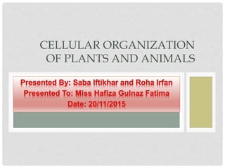 CELLULAR ORGANIZATION
OF PLANTS AND ANIMALS
 