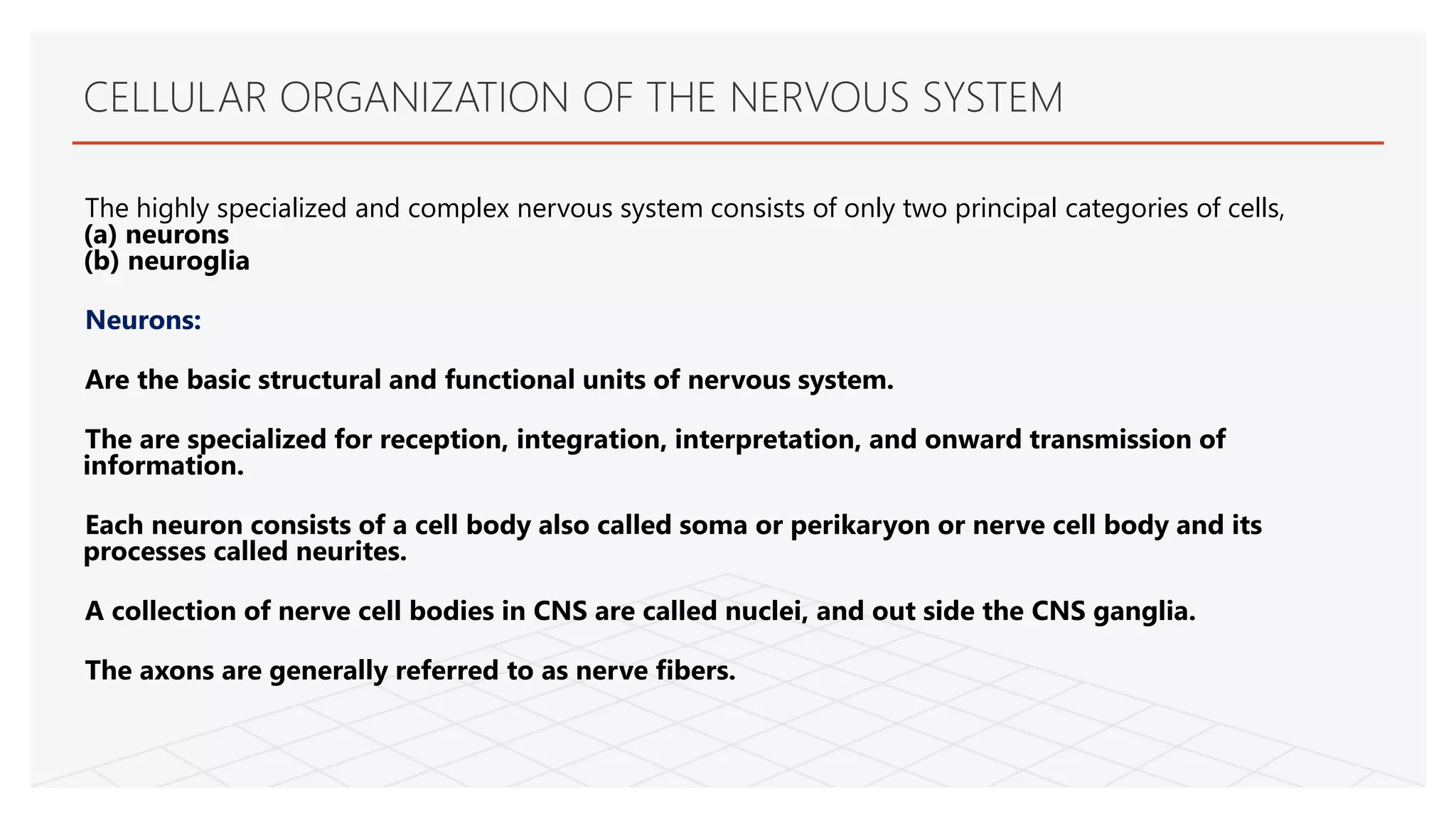 Cellular organization of the nervous system | PPTX