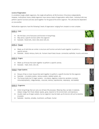 Levels of Organization
In unicellular (single-celled) organisms, the single cell performs all life functions. It functions independently.
However, multicellular (many celled) organisms have various levels of organization within them. Individual cells may
perform specific functions and also work together for the good of the entire organism. The cells become dependent
on one another.
Multicellular organisms have the following 5 levels of organization ranging from simplest to most complex:
LEVEL 1 - Cells
 Are the basic unit of structure and function in living things.
 May serve a specific function within the organism
 Examples- blood cells, nerve cells, bone cells, etc.
LEVEL 2 - Tissues
 Made up of cells that are similar in structure and function and which work together to perform a
specific activity
 Examples - blood, nervous, bone, etc. Humans have 4 basic tissues: connective, epithelial, muscle, and nerve.
LEVEL 3 - Organs
 Made up of tissues that work together to perform a specific activity
 Examples - heart, brain, skin, etc.
LEVEL4 - Organ Systems
 Groups of two or more tissues that work together to perform a specific function for the organism.
 Examples - circulatory system, nervous system, skeletal system, etc.
 The Human body has 11 organ systems - circulatory, digestive, endocrine, excretory (urinary),
immune(lymphatic), integumentary, muscular, nervous, reproductive, respiratory, and skeletal.
LEVEL 5 - Organisms
 Entire living things that can carry out all basic life processes. Meaning they can take in materials,
release energy from food, release wastes, grow, respond to the environment, and reproduce.
 Usually made up of organ systems, but an organism may be made up of only one cell such as bacteria
or protist.
 Examples - bacteria, amoeba, mushroom, sunflower, human
 