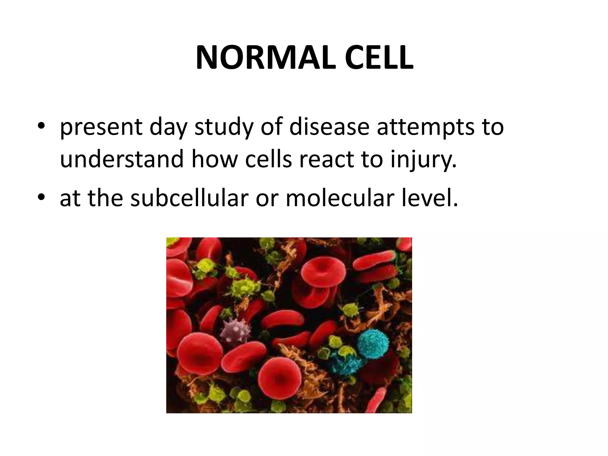 NORMAL CELLpresent day study of disease attempts to understand how cells react to injury.at the subcellular or molecular level.