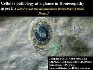 Cellular pathology at a glance in HomoeopathyCellular pathology at a glance in Homoeopathy
aspect:aspect: A journey of cell through adaptation to Disease/Injury & Death.A journey of cell through adaptation to Disease/Injury & Death.
Part-1Part-1
January 23, 2015
Dr.Ankitsrivastav@copyright2014
Email:ankitsrivastav183@gmail.com 1
Compiled by: Dr. Ankit SrivastavaCompiled by: Dr. Ankit Srivastava
B.H.M.S. (Gold medalist), M.D. (PGR)B.H.M.S. (Gold medalist), M.D. (PGR)
Gorakhpur, U.P., IndiaGorakhpur, U.P., India
Email:ankitsrivastav183@gmail.comEmail:ankitsrivastav183@gmail.com
 