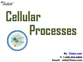 Cellular
Processes
T- 1-855-694-8886
Email- info@iTutor.com
By iTutor.com
 