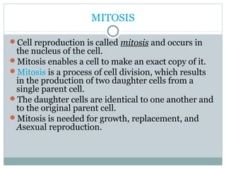 MITOSIS
Cell reproduction is called mitosis and occurs in
the nucleus of the cell.
Mitosis enables a cell to make an exact copy of it.
Mitosis is a process of cell division, which results
in the production of two daughter cells from a
single parent cell.
The daughter cells are identical to one another and
to the original parent cell.
Mitosis is needed for growth, replacement, and
Asexual reproduction.
 