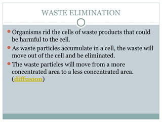 WASTE ELIMINATION
Organisms rid the cells of waste products that could
be harmful to the cell.
As waste particles accumulate in a cell, the waste will
move out of the cell and be eliminated.
The waste particles will move from a more
concentrated area to a less concentrated area.
(diffusion)
 