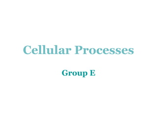 Cellular Processes Group E 
