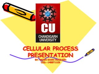 CELLULAR PROCESS 
PRESENTATION 
BY:-MOIN KHAN HUSSAIN 
UID:-14BBT1129 
 