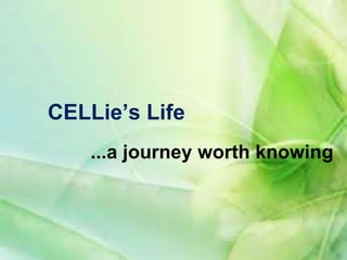 CELLie’s Life
...a journey worth knowing
 