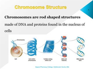 Chromosomes are rod shaped structures
made of DNA and proteins found in the nucleus of
cells
4
Vignan Pharmacy College, Vadlamudi, Guntur (Dt)
 