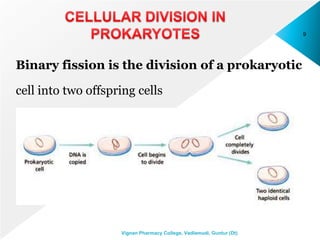 Binary fission is the division of a prokaryotic
cell into two offspring cells
9
Vignan Pharmacy College, Vadlamudi, Guntur (Dt)
 