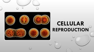 CELLULAR
REPRODUCTION
 