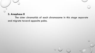 3. Anaphase II
The sister chromatids of each chromosome in this stage separate
and migrate toward opposite poles.
 