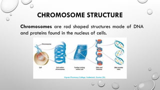 CHROMOSOME STRUCTURE
Chromosomes are rod shaped structures made of DNA
and proteins found in the nucleus of cells.
 
