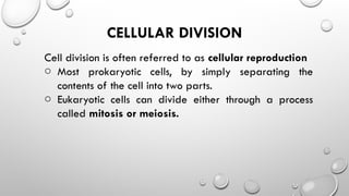 CELLULAR DIVISION
Cell division is often referred to as cellular reproduction
o Most prokaryotic cells, by simply separating the
contents of the cell into two parts.
o Eukaryotic cells can divide either through a process
called mitosis or meiosis.
 