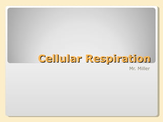 Cellular Respiration Mr. Miller 