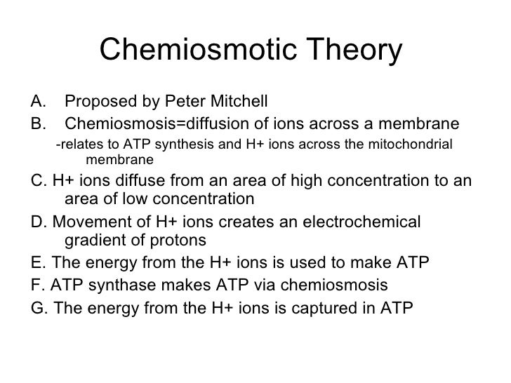 chemiosmotic theory