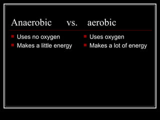 Anaerobic vs. aerobic Uses no oxygen Makes a little energy Uses oxygen Makes a lot of energy