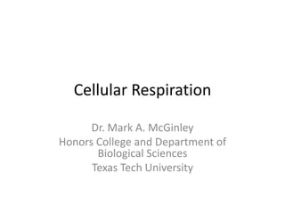Cellular Respiration

      Dr. Mark A. McGinley
Honors College and Department of
       Biological Sciences
      Texas Tech University
 