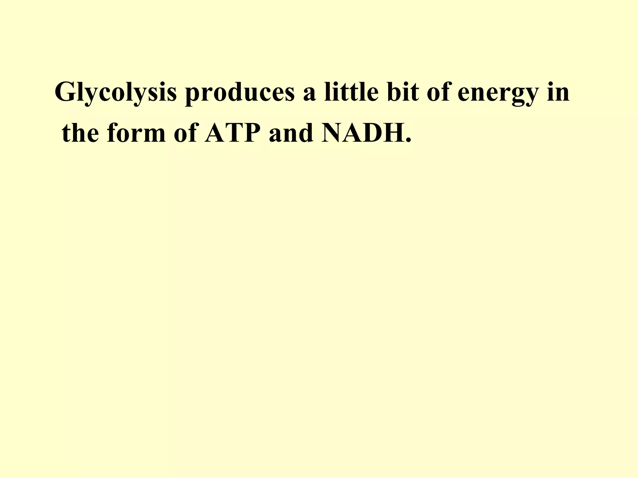 Glycolysis produces a little bit of energy in
the form of ATP and NADH.
 