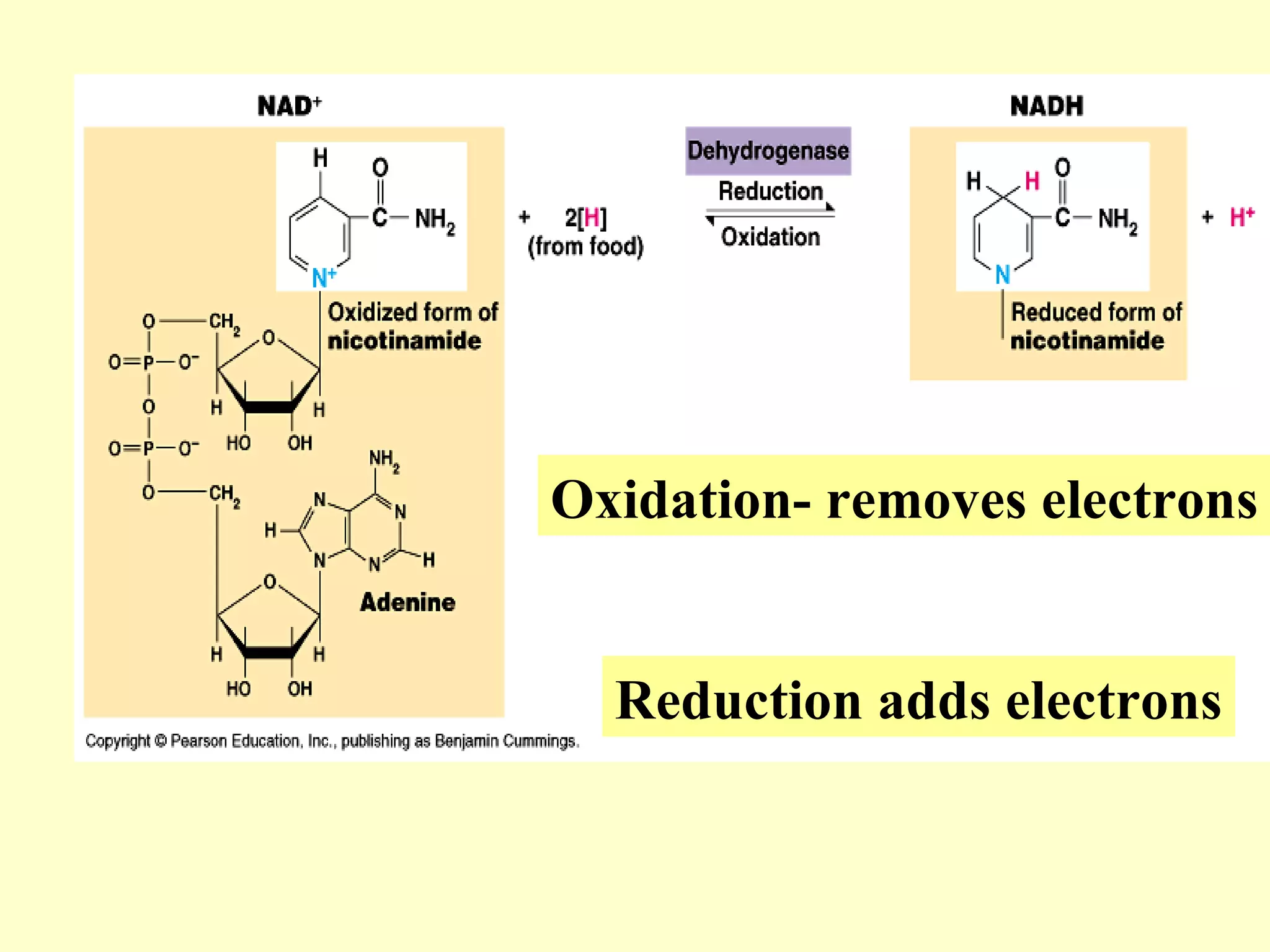 Oxidation- removes electrons


  Reduction adds electrons
 