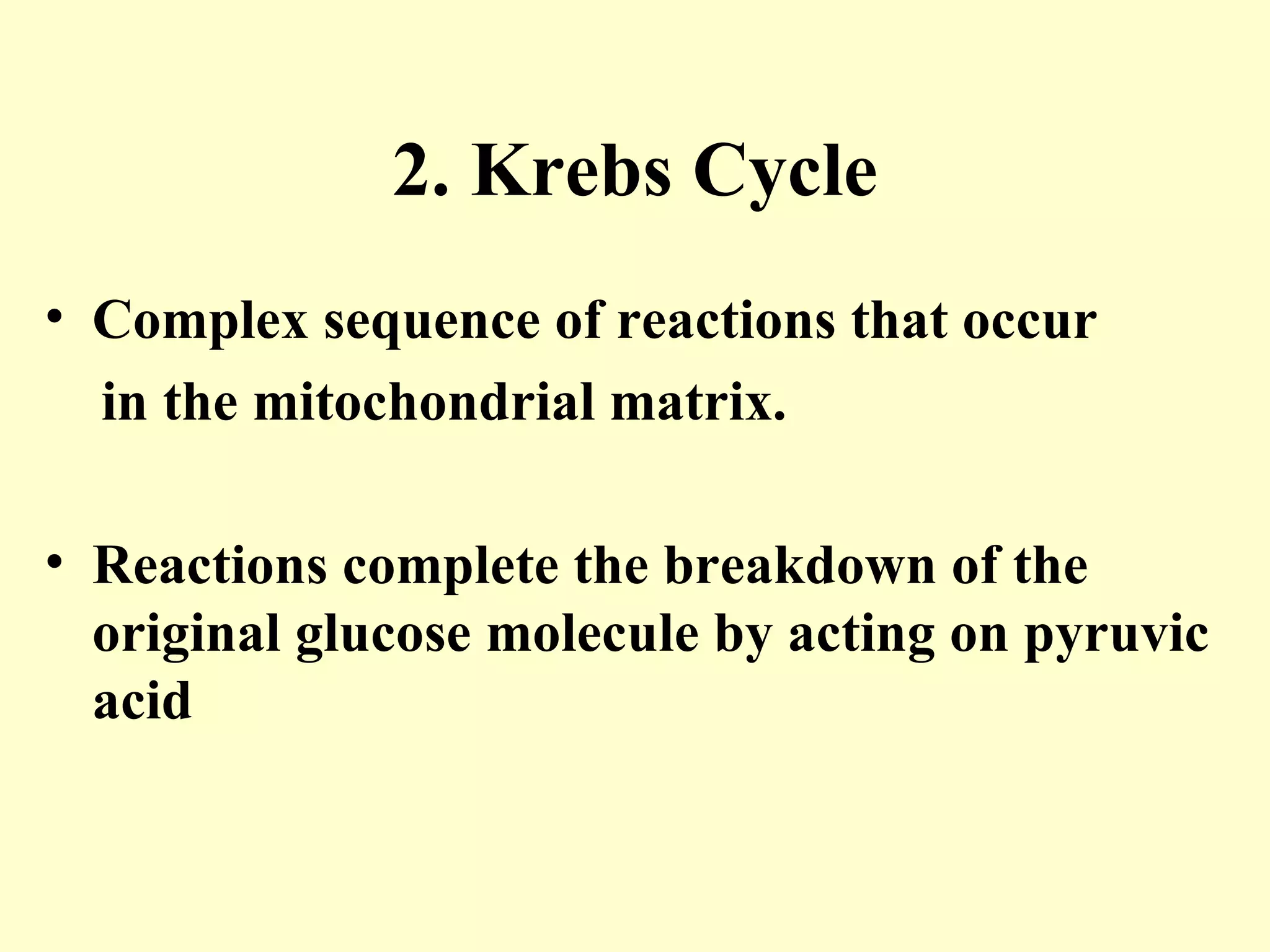 2. Krebs Cycle
• Complex sequence of reactions that occur
  in the mitochondrial matrix.

• Reactions complete the breakdown of the
  original glucose molecule by acting on pyruvic
  acid
 
