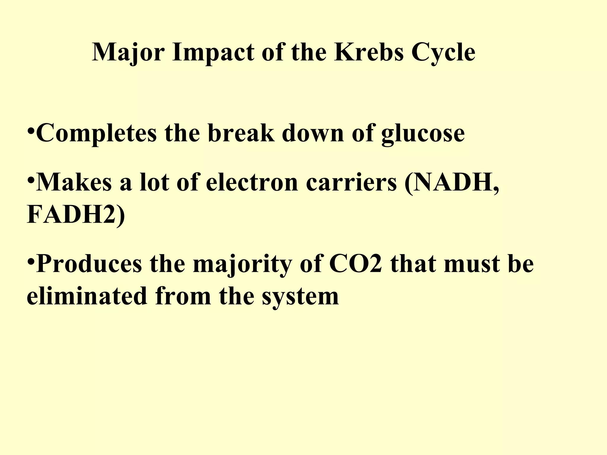 Major Impact of the Krebs Cycle

•Completes the break down of glucose
•Makes a lot of electron carriers (NADH,
FADH2)
•Produces the majority of CO2 that must be
eliminated from the system
 