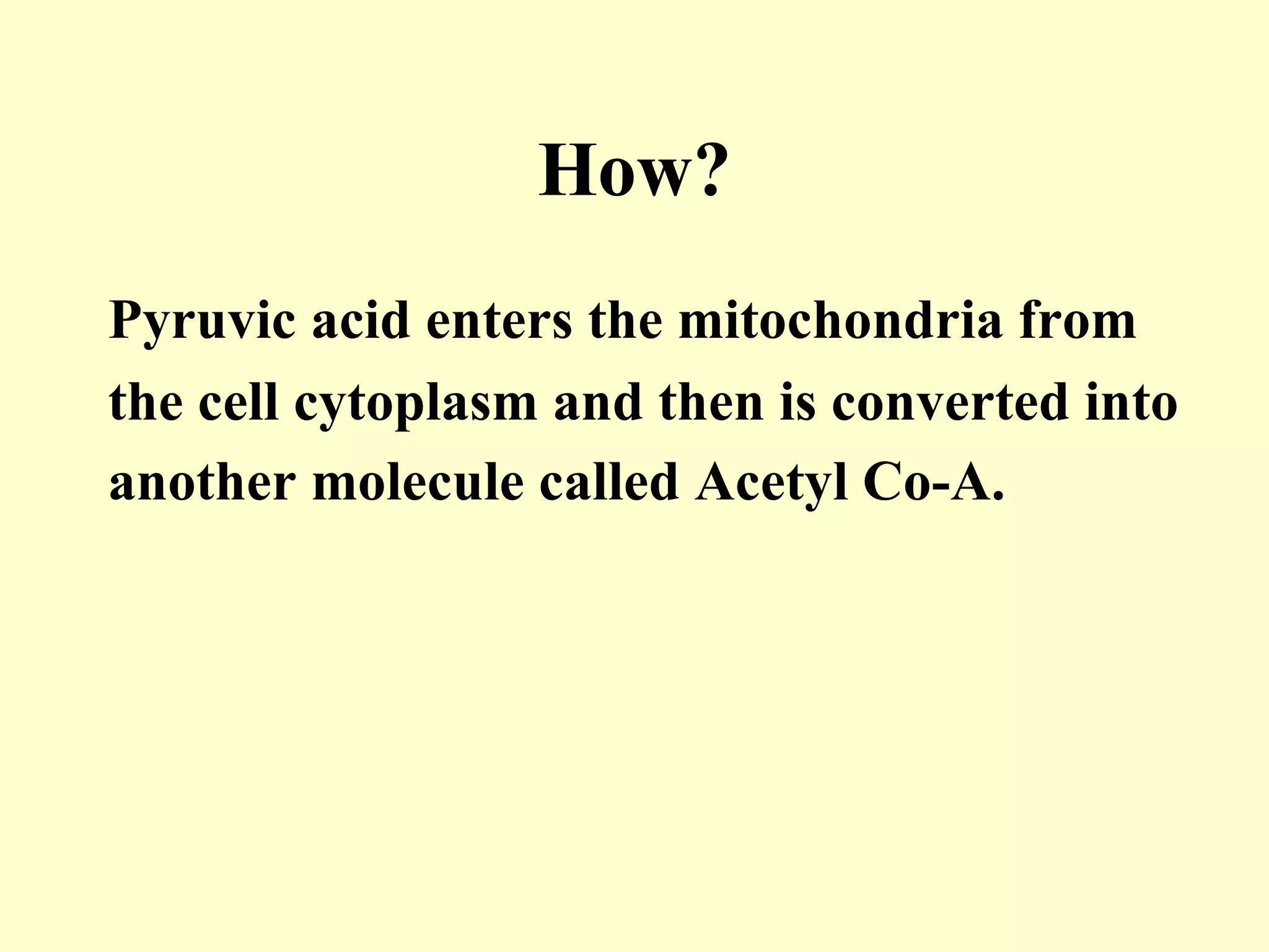How?
Pyruvic acid enters the mitochondria from
the cell cytoplasm and then is converted into
another molecule called Acetyl Co-A.
 