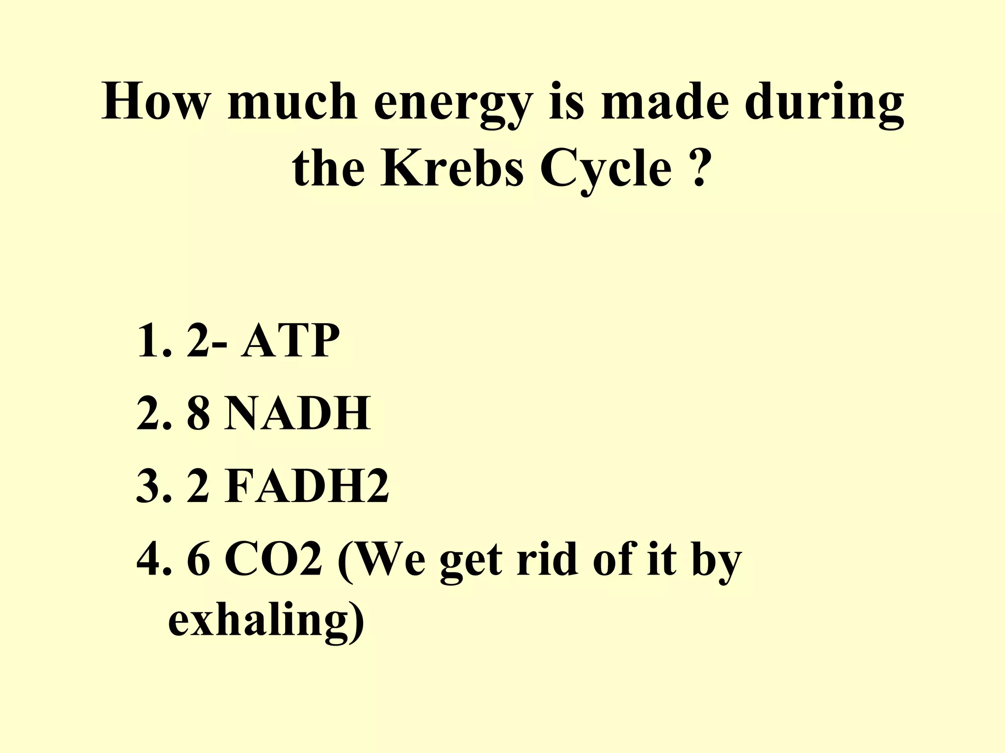 How much energy is made during
      the Krebs Cycle ?


 1. 2- ATP
 2. 8 NADH
 3. 2 FADH2
 4. 6 CO2 (We get rid of it by
   exhaling)
 