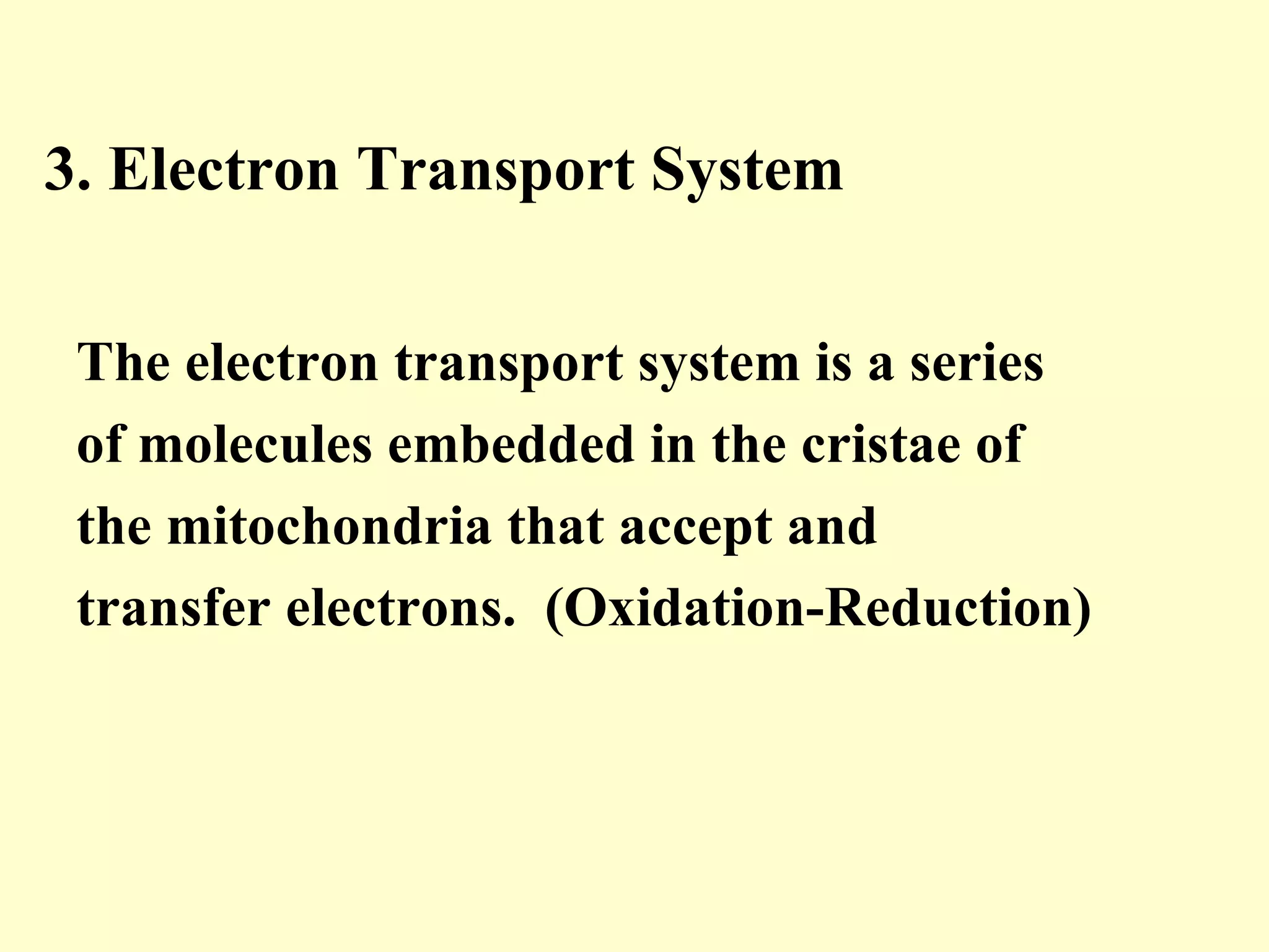 3. Electron Transport System


 The electron transport system is a series
 of molecules embedded in the cristae of
 the mitochondria that accept and
 transfer electrons. (Oxidation-Reduction)
 