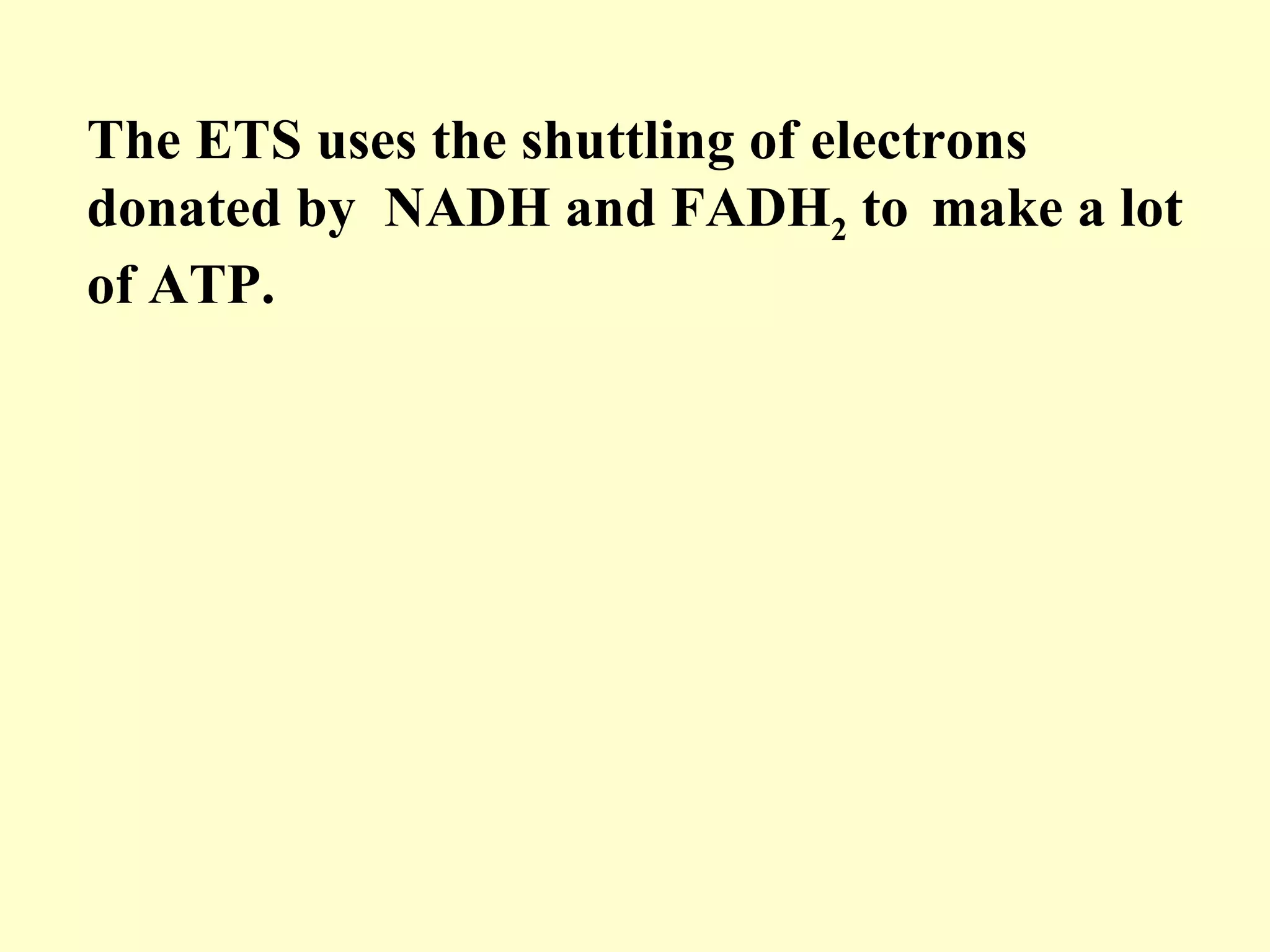 The ETS uses the shuttling of electrons
donated by NADH and FADH2 to make a lot
of ATP.
 