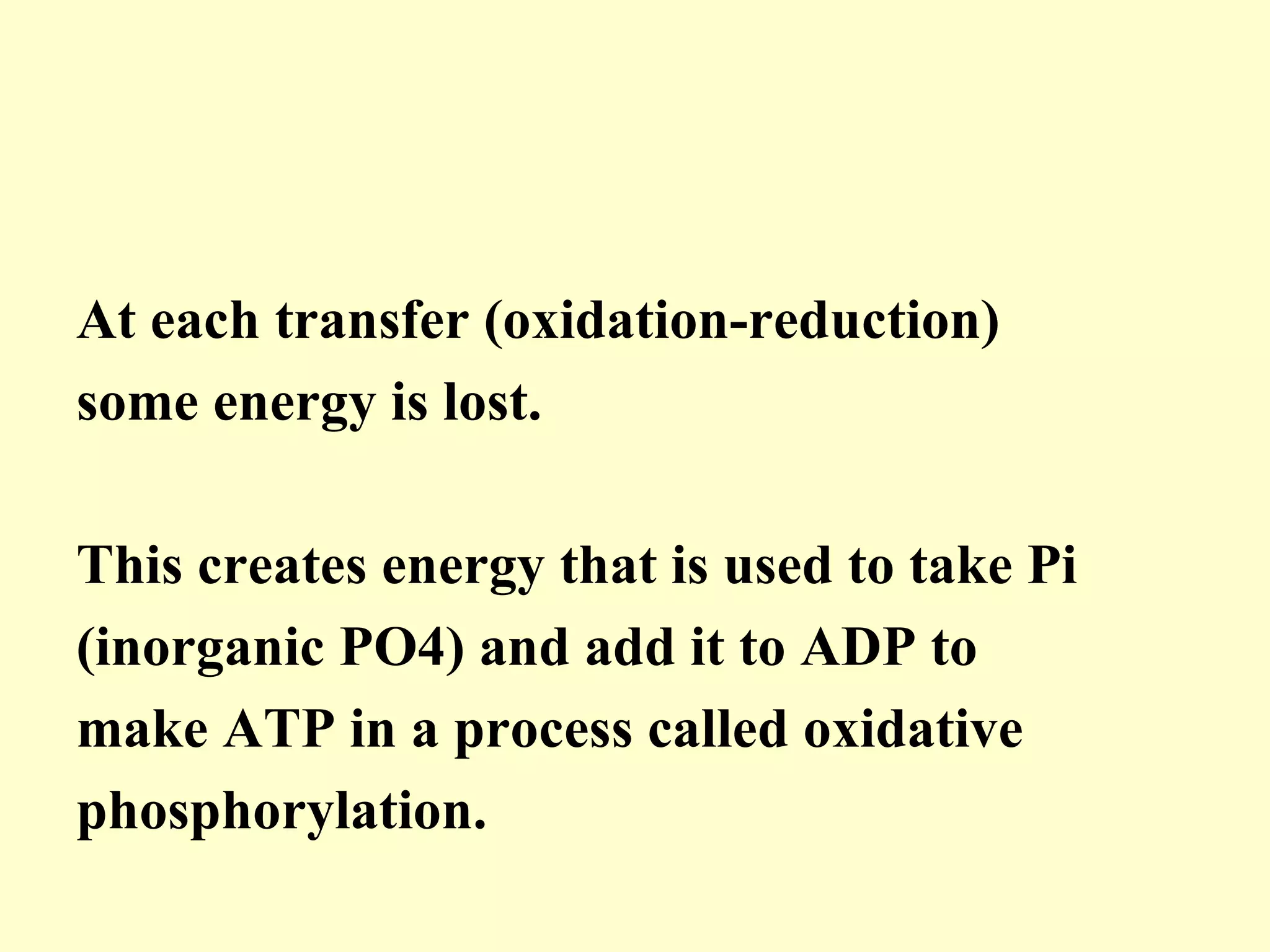 At each transfer (oxidation-reduction)
some energy is lost.

This creates energy that is used to take Pi
(inorganic PO4) and add it to ADP to
make ATP in a process called oxidative
phosphorylation.
 