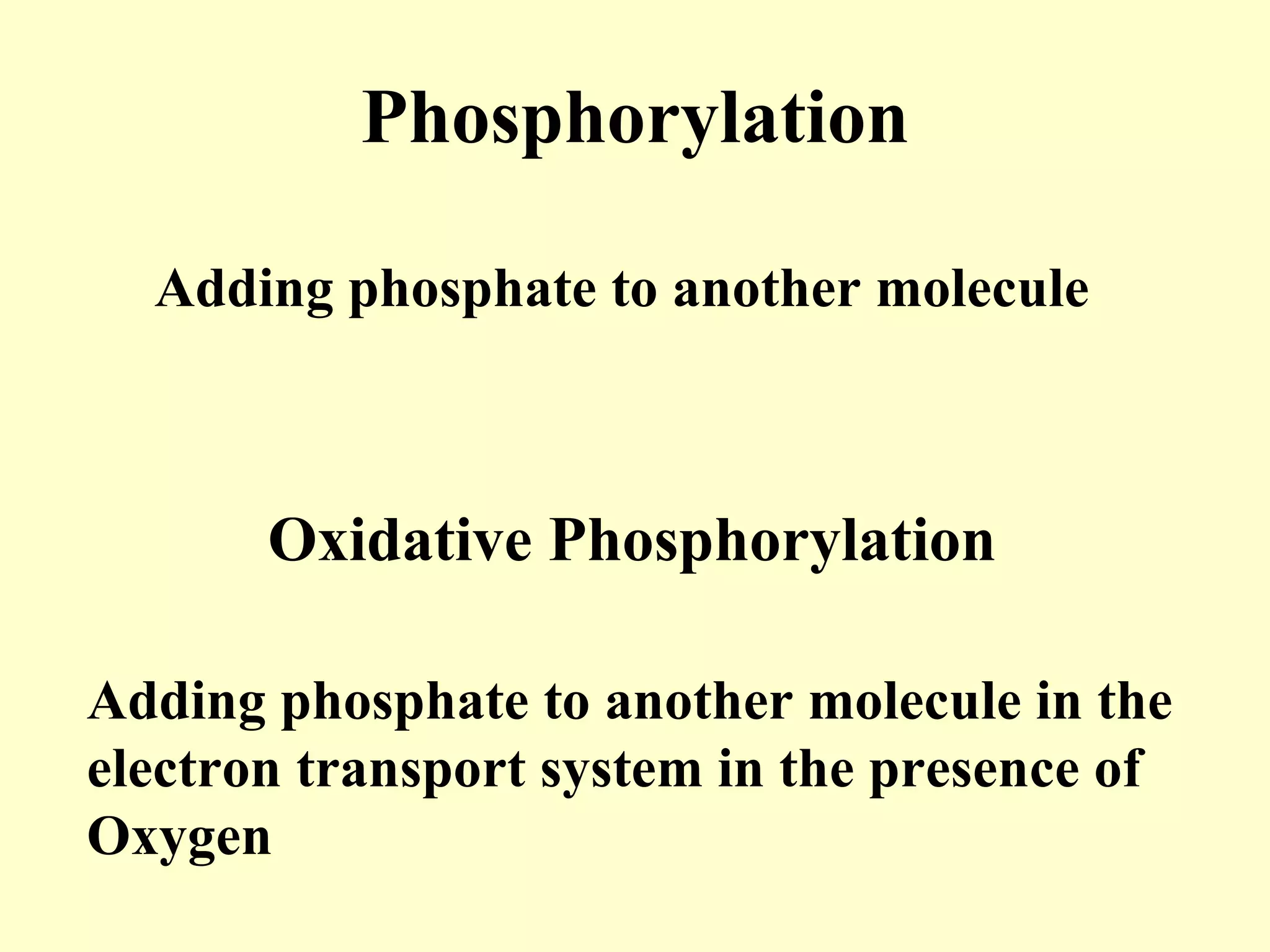 Phosphorylation

  Adding phosphate to another molecule



       Oxidative Phosphorylation

Adding phosphate to another molecule in the
electron transport system in the presence of
Oxygen
 