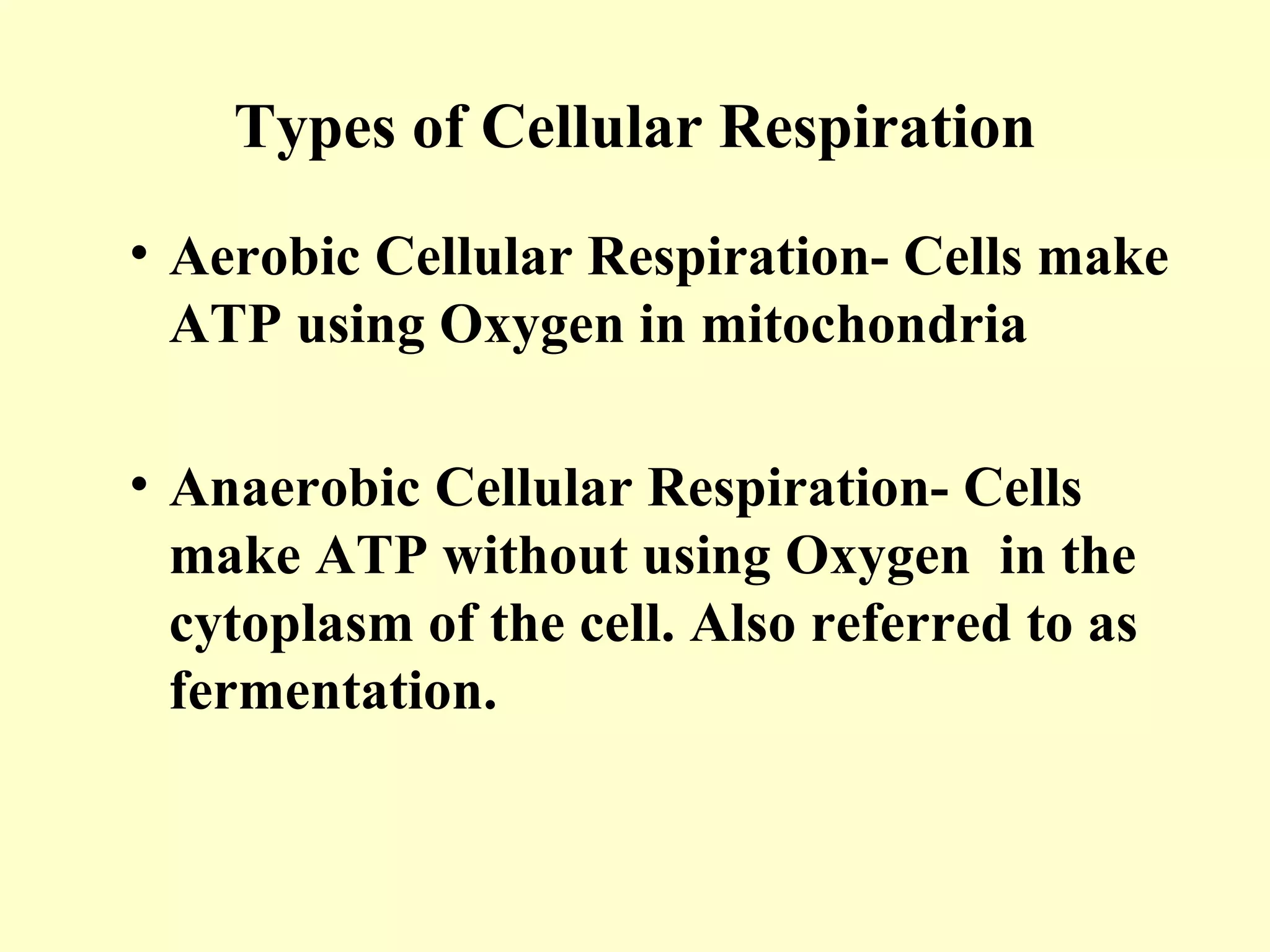 Types of Cellular Respiration
• Aerobic Cellular Respiration- Cells make
  ATP using Oxygen in mitochondria

• Anaerobic Cellular Respiration- Cells
  make ATP without using Oxygen in the
  cytoplasm of the cell. Also referred to as
  fermentation.
 