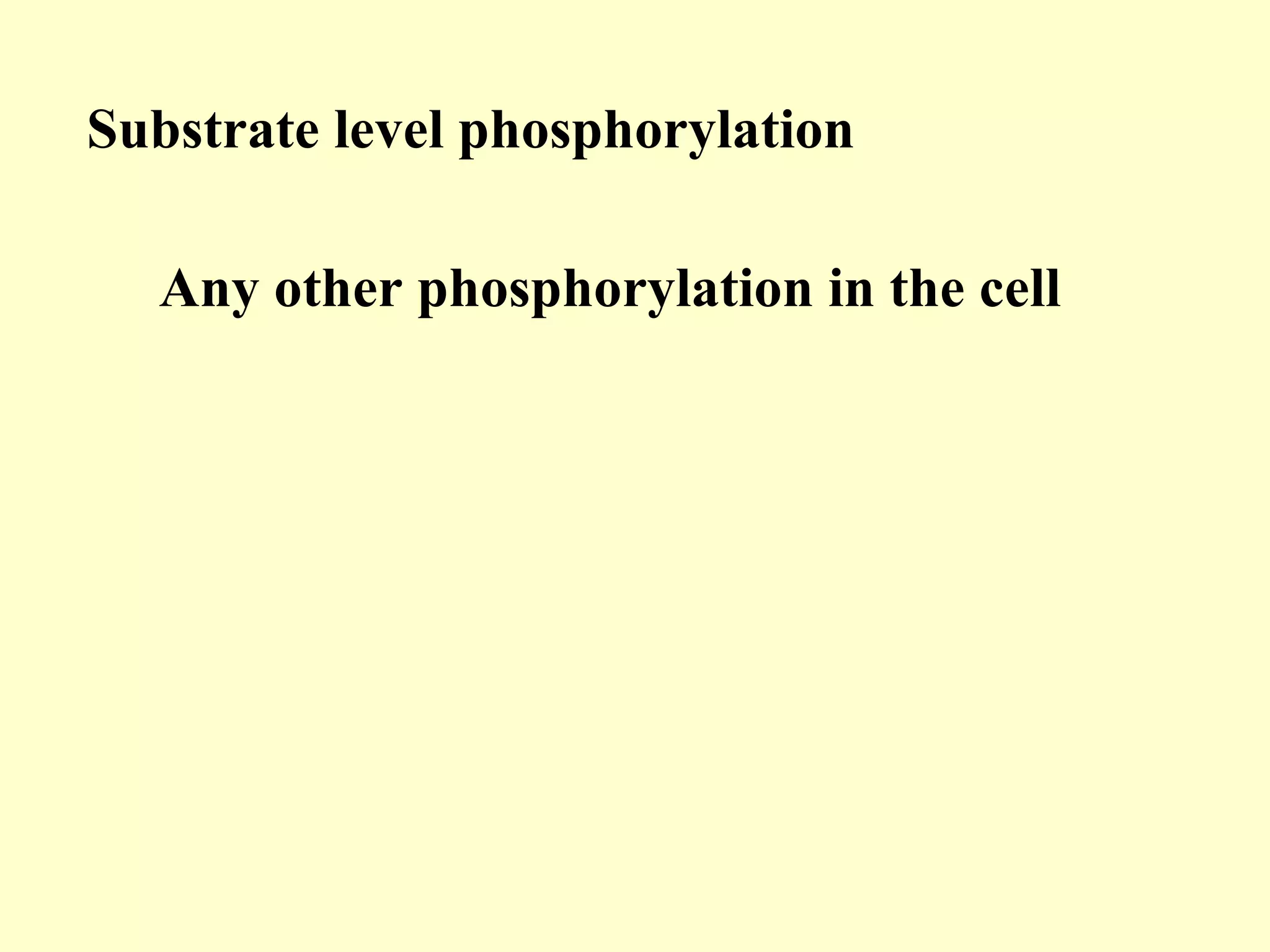Substrate level phosphorylation

  Any other phosphorylation in the cell
 