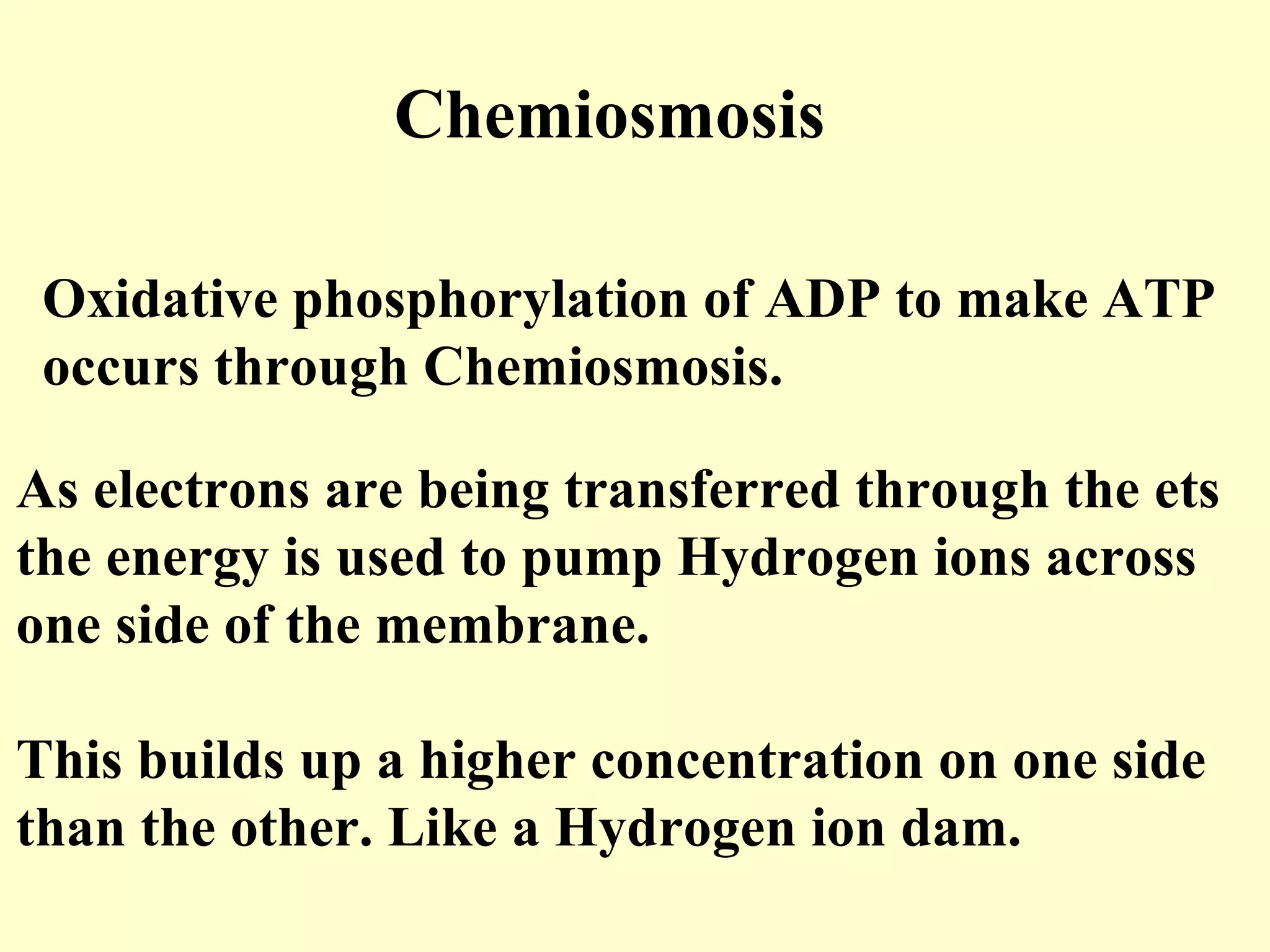 Chemiosmosis

 Oxidative phosphorylation of ADP to make ATP
 occurs through Chemiosmosis.

As electrons are being transferred through the ets
the energy is used to pump Hydrogen ions across
one side of the membrane.

This builds up a higher concentration on one side
than the other. Like a Hydrogen ion dam.
 