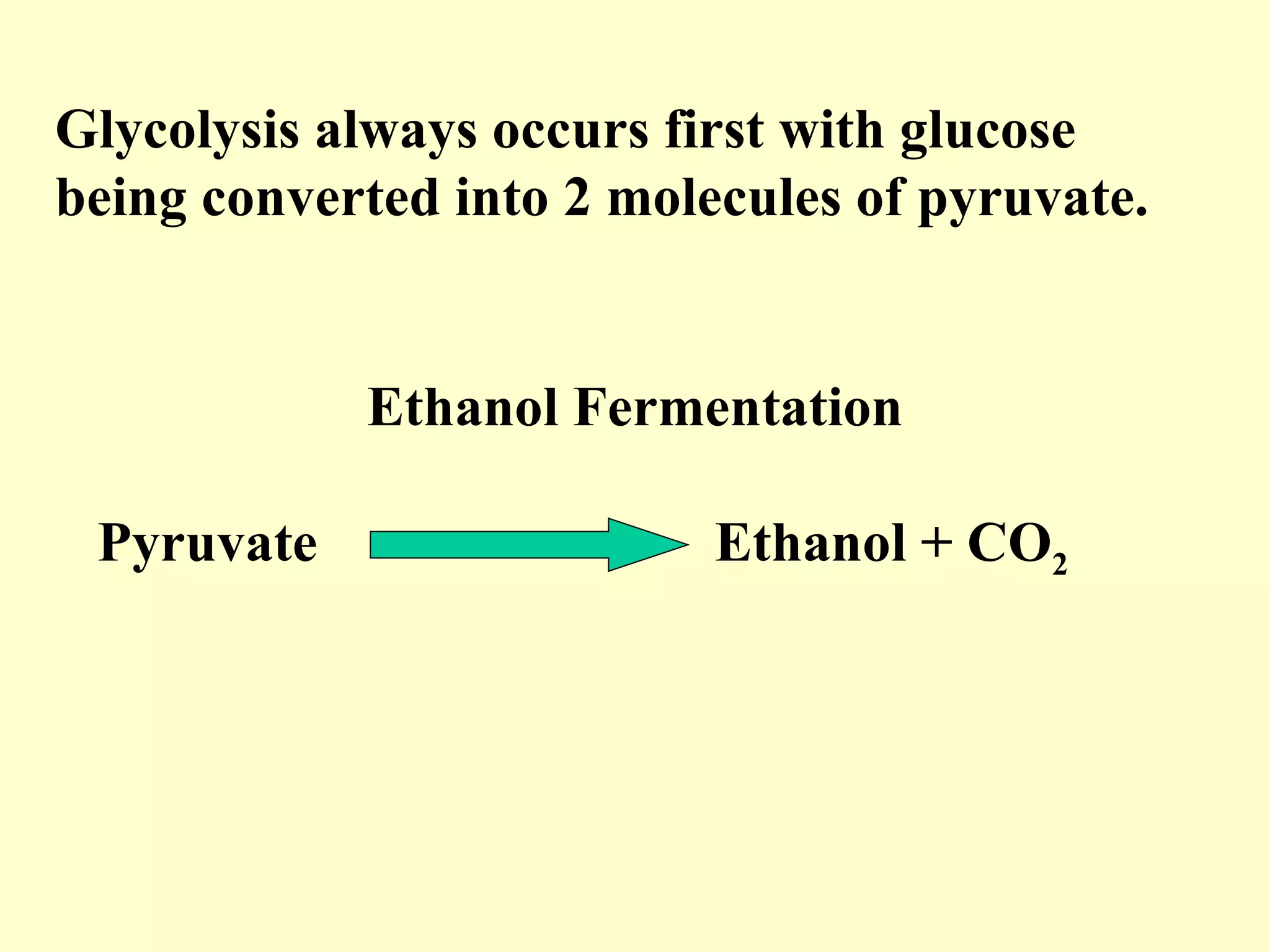 Glycolysis always occurs first with glucose
being converted into 2 molecules of pyruvate.


            Ethanol Fermentation

 Pyruvate                  Ethanol + CO2
 