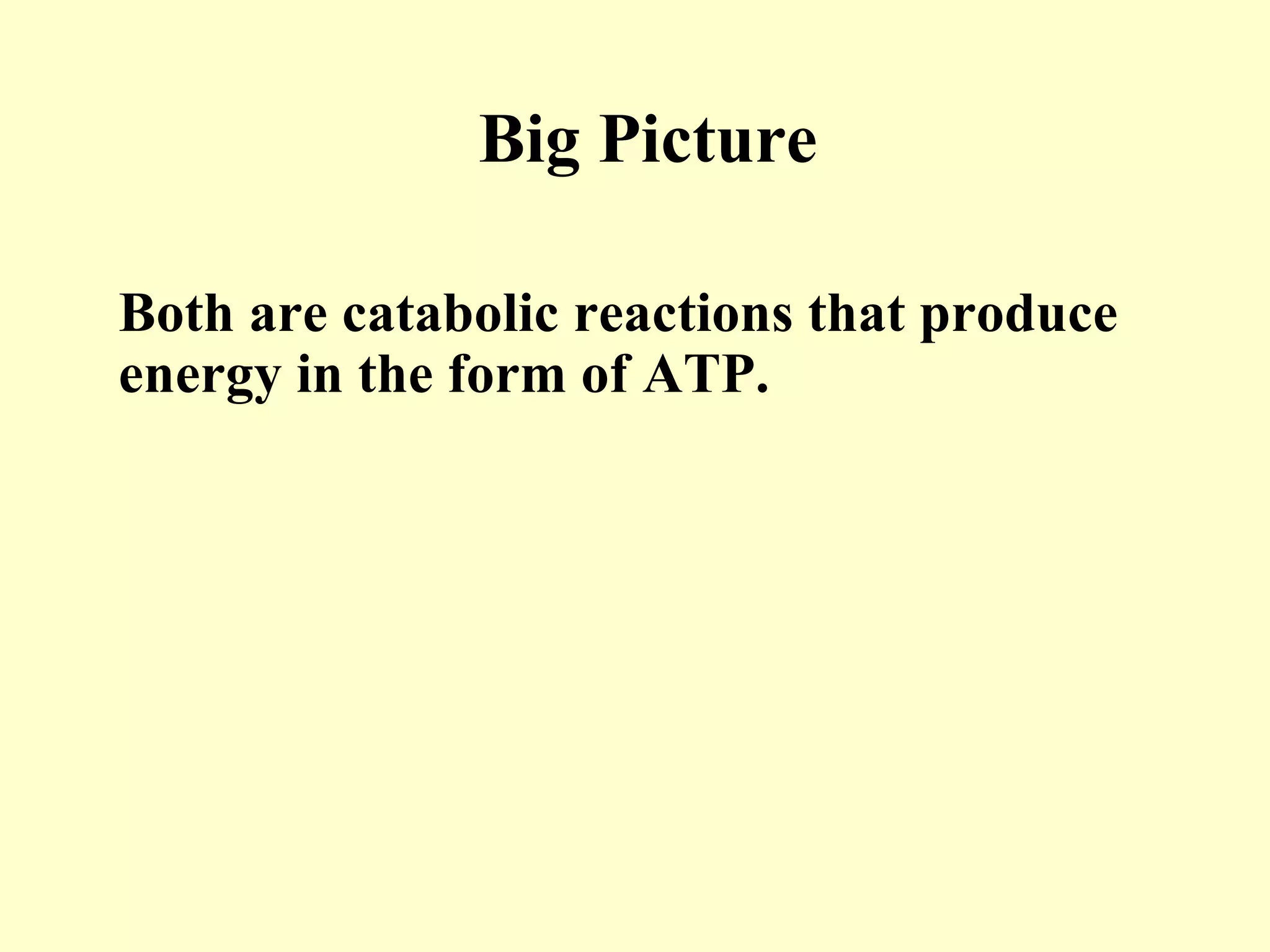 Big Picture

Both are catabolic reactions that produce
energy in the form of ATP.
 