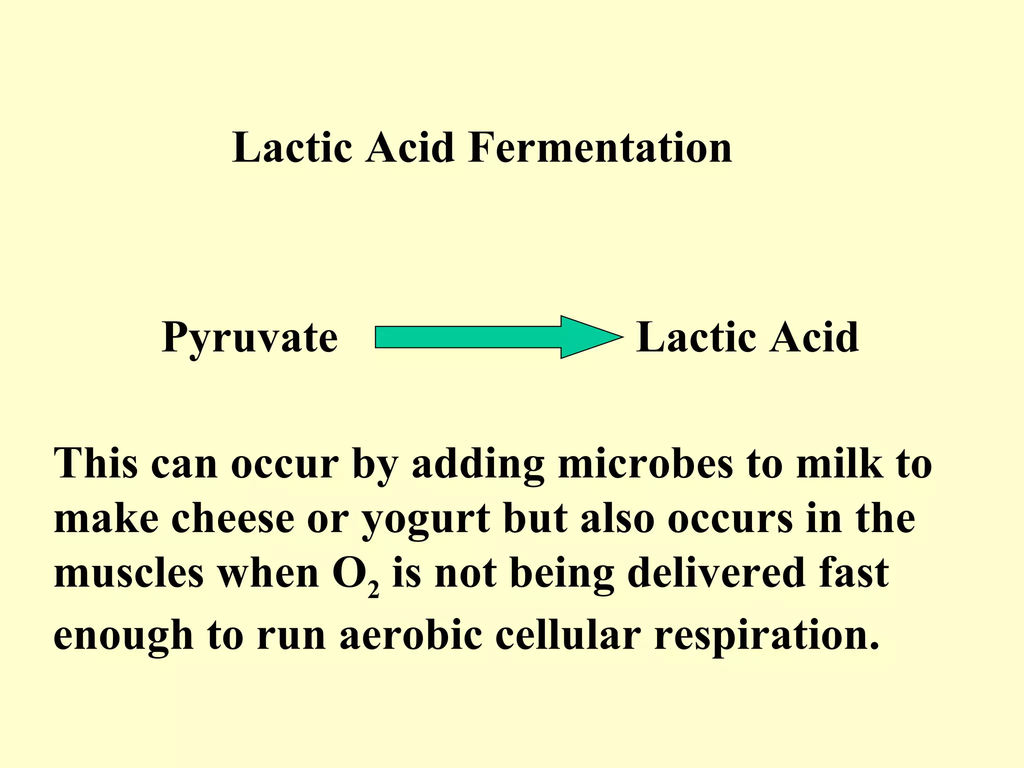 Lactic Acid Fermentation



     Pyruvate                Lactic Acid

This can occur by adding microbes to milk to
make cheese or yogurt but also occurs in the
muscles when O2 is not being delivered fast
enough to run aerobic cellular respiration.
 