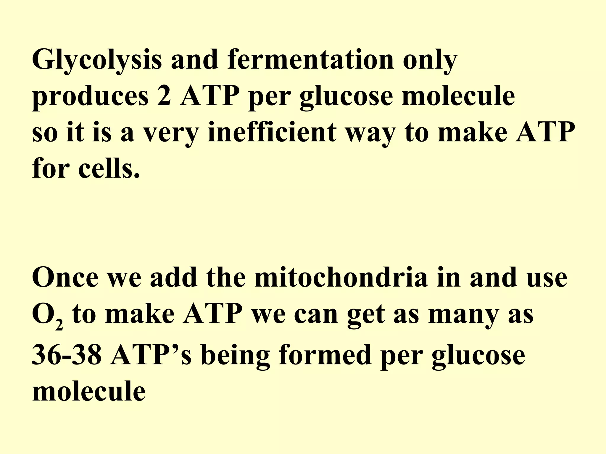Glycolysis and fermentation only
produces 2 ATP per glucose molecule
so it is a very inefficient way to make ATP
for cells.


Once we add the mitochondria in and use
O2 to make ATP we can get as many as
36-38 ATP’s being formed per glucose
molecule
 