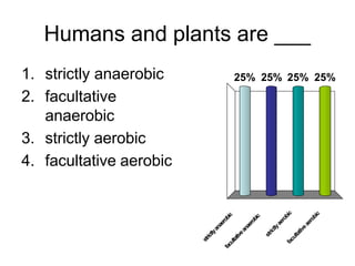 Humans and plants are ___
1. strictly anaerobic                 25% 25% 25% 25%
2. facultative
   anaerobic
3. strictly aerobic
4. facultative aerobic




                                                               c



                                                                              ic
                                             bic




                                                             bi
                                            bic




                                                                            ob
                                                           ro
                                           ro



                                          ro




                                                                          er
                                                         ae
                                         ae



                                        ae




                                                                        ea
                                                        tly
                                       an



                                      an




                                                                     tiv
                                                     ric
                                    ly



                                  ve




                                                                  lta
                                 ict




                                                   st
                               ati




                                                                cu
                             str



                            ult




                                                              fa
                         fac
 