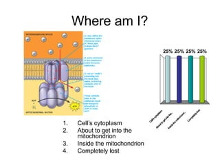 Where am I?

                                         25% 25% 25% 25%




                                                              st
                                                          sm




                                                           lo
                                                           ..
                                                          .



                                                        d.
                                                      pla



                                                       e..




                                                      ely
                                                     on
                                                     th
                                                    to




                                                    et
                                                  ch
                                                  to
                                                 cy




                                                  pl
                                              t in




                                               m
                                              ito
                                            ll’s




                                           Co
                                           m
                                           ge
                                          Ce
1.   Cell’s cytoplasm




                                        he
                                      t to



                                     et
                                    ou



                                  sid
                                 Ab



                                In
2.   About to get into the
     mitochondrion
3.   Inside the mitochondrion
4.   Completely lost
 