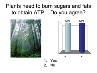 Plants need to burn sugars and fats
  to obtain ATP. Do you agree?
                         50%   50%




                          s




                               No
                        Ye
               1. Yes
               2. No
 