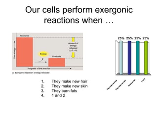 Our cells perform exergonic
    reactions when …
                                                 25% 25% 25% 25%




                                                                                  2
                                                                                 nd
    1.   They make new hair




                                                                           s
                                                                        fat
                                                         in
                                            ir




                                                                               1a
                                          ha



                                                       sk



                                                                     rn
                                       w



                                                    w



                                                                   bu
                                     ne



                                                  ne



                                                                ey
    2.   They make new skin




                                      e



                                                   e
                                    ak




                                                              Th
                                                 ak
                                   m



                                                m
                                ey



                                             ey
                              Th



                                           Th
    3.   They burn fats
    4.   1 and 2
 
