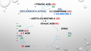 Cellular respiration | PPTX