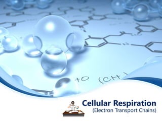 Cellular Respiration
(Electron Transport Chains)
 