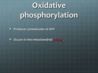 Oxidative
phosphorylation
Produces 32molecules of ATP
Occurs in the mitochondrial cristae .
 