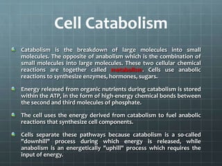 Cell Catabolism
Catabolism is the breakdown of large molecules into small
molecules. The opposite of anabolism which is the combination of
small molecules into large molecules. These two cellular chemical
reactions are together called metabolism. Cells use anabolic
reactions to synthesize enzymes, hormones, sugars.
Energy released from organic nutrients during catabolism is stored
within the ATP, in the form of high-energy chemical bonds between
the second and third molecules of phosphate.
The cell uses the energy derived from catabolism to fuel anabolic
reactions that synthesize cell components.
Cells separate these pathways because catabolism is a so-called
"downhill" process during which energy is released, while
anabolism is an energetically "uphill" process which requires the
input of energy.
 