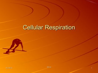01/30/1601/30/16
SB 3aSB 3a
11
Cellular RespirationCellular Respiration
 
